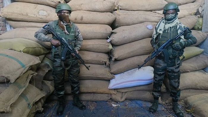Mizoram: Assam Rifles seize 8,000 kg illegal areca nuts in Champhai
