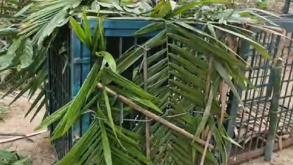 Manipur police destroy massive cache of narcotics in Imphal West Manipur police destroy massive cache of narcotics in Imphal West