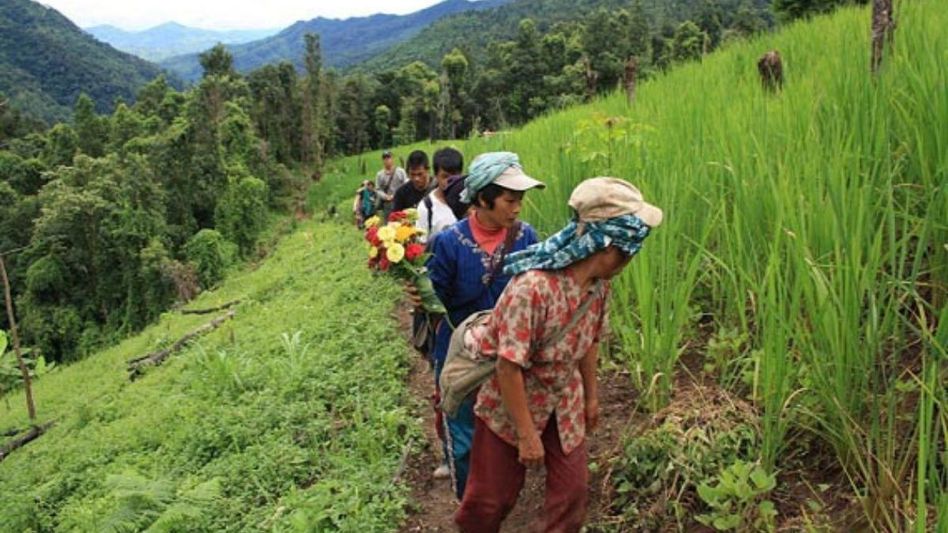 Mizoram committed to buying four crops from local farmers: Agriculture minister Mizoram committed to buying four crops from local farmers: Agriculture minister