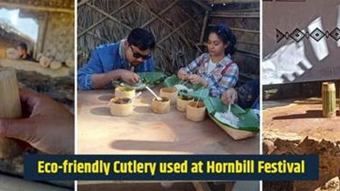 Nagaland's Hornbill Festival marks milestone in sustainable event management