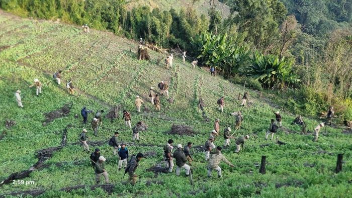 Manipur police register FIR in Kangpokpi illegal poppy cultivation case