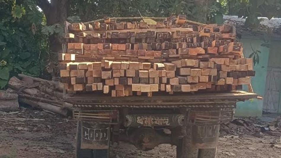 Assam's Rani forest department seizes illegal timber-laden truck in raid near Pageli Tea Estate Assam's Rani forest department seizes illegal timber-laden truck in raid near Pageli Tea Estate