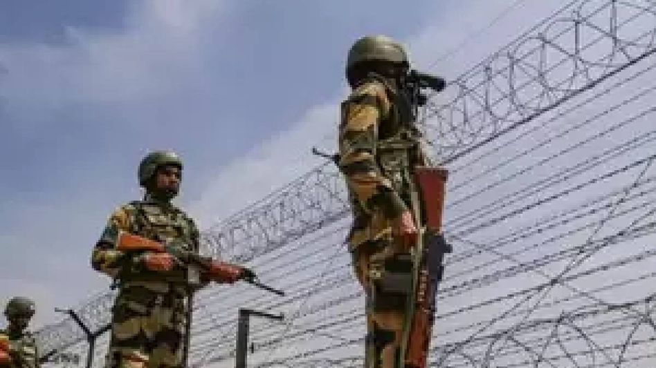 BSF foils infiltration bid, apprehends 7 Bangladeshi nationals in Meghalaya BSF foils infiltration bid, apprehends 7 Bangladeshi nationals in Meghalaya