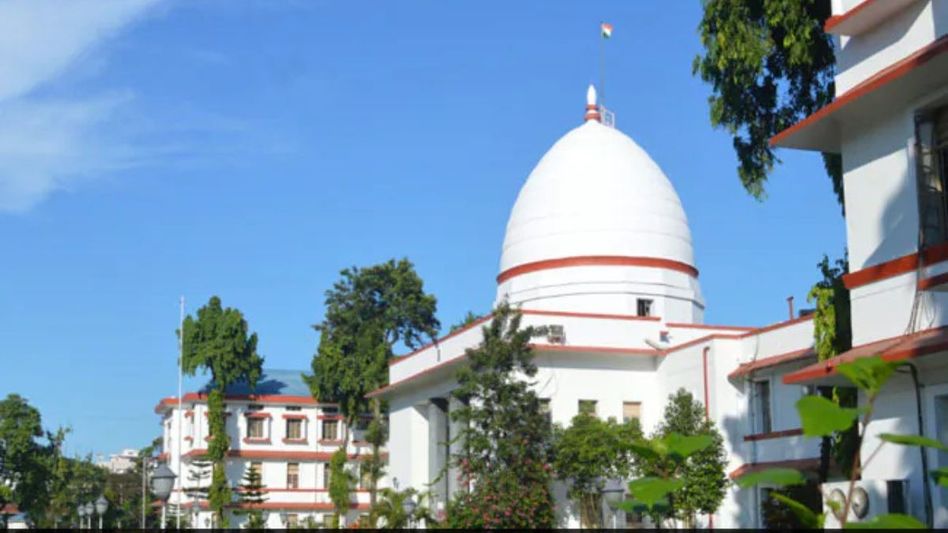 Gauhati High Court quashes state govt's SOP; bans buffalo, bulbul fights in Assam Gauhati High Court quashes state govt's SOP; bans buffalo, bulbul fights in Assam