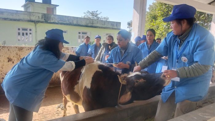 Sikkim launches accredited livestock training programme, empowers rural Pashusakhis