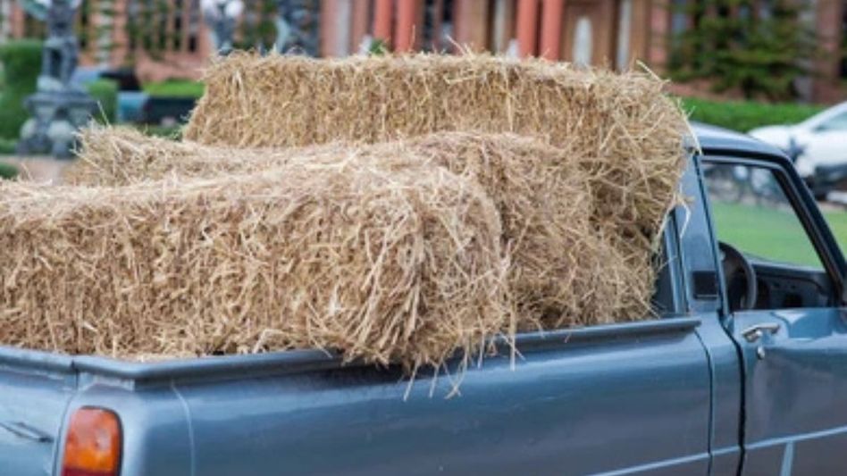 Meghalaya: Prohibitory order issued against overloaded hay-laden trucks in Shillong Meghalaya: Prohibitory order issued against overloaded hay-laden trucks in Shillong