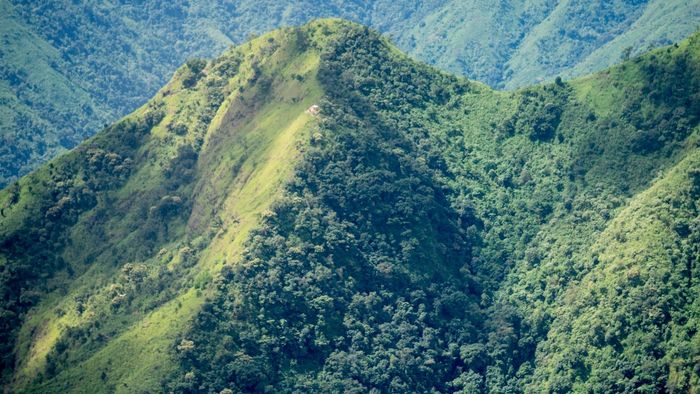 Photo credit: Pexels