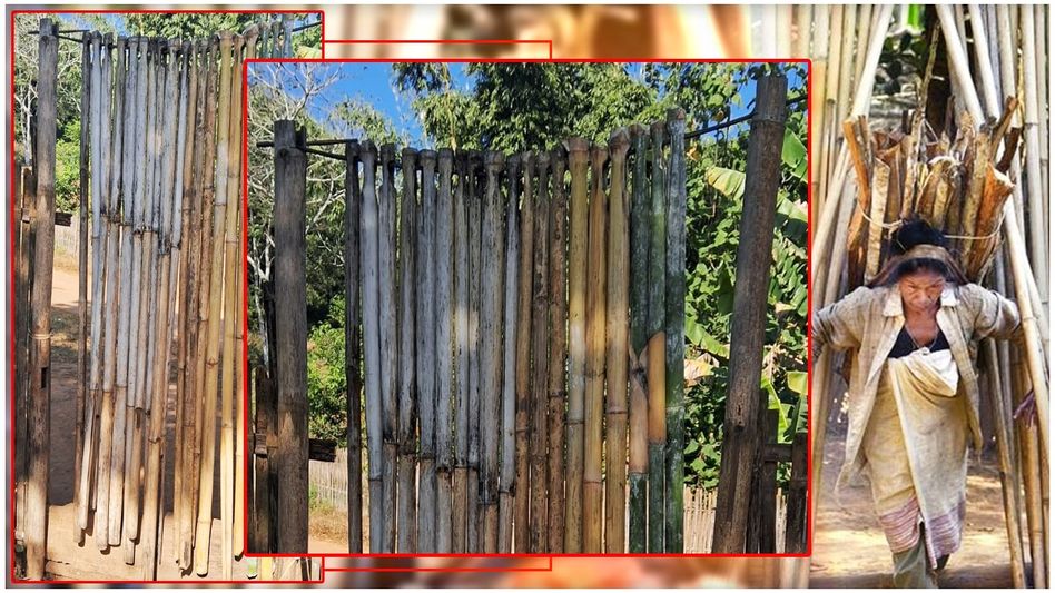 Harmony in simplicity: The 'Langra' bamboo gate of Assam's Tiwa community Harmony in simplicity: The 'Langra' bamboo gate of Assam's Tiwa community