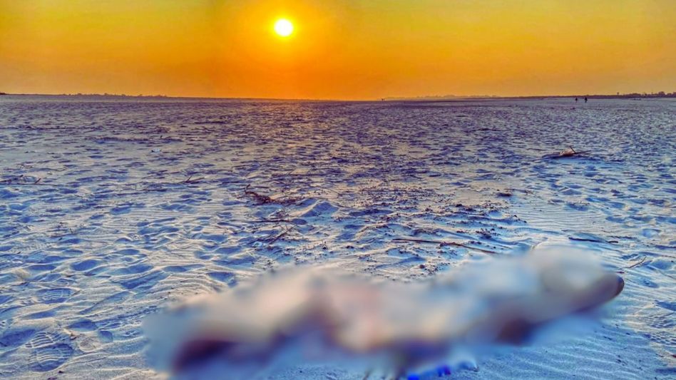 Assam: Decomposed body found in Brahmaputra River in Dhubri's char area   Assam: Decomposed body found in Brahmaputra River in Dhubri's char area