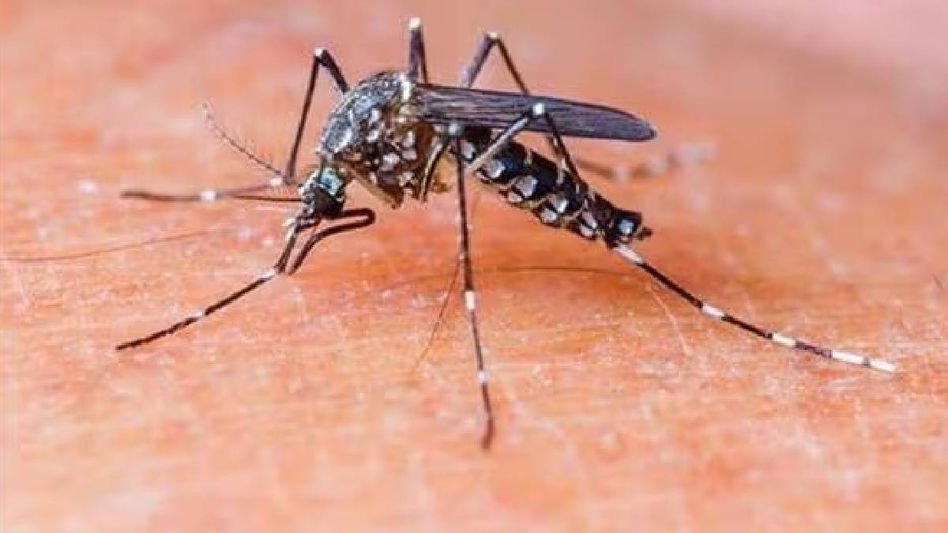 India set to be malaria-free by 2030: Health Ministry India set to be malaria-free by 2030: Health Ministry