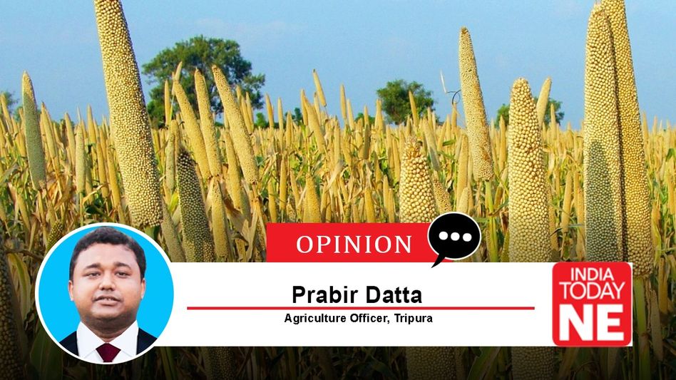 Mitigation of climate change effect through millet cultivation Mitigation of climate change effect through millet cultivation