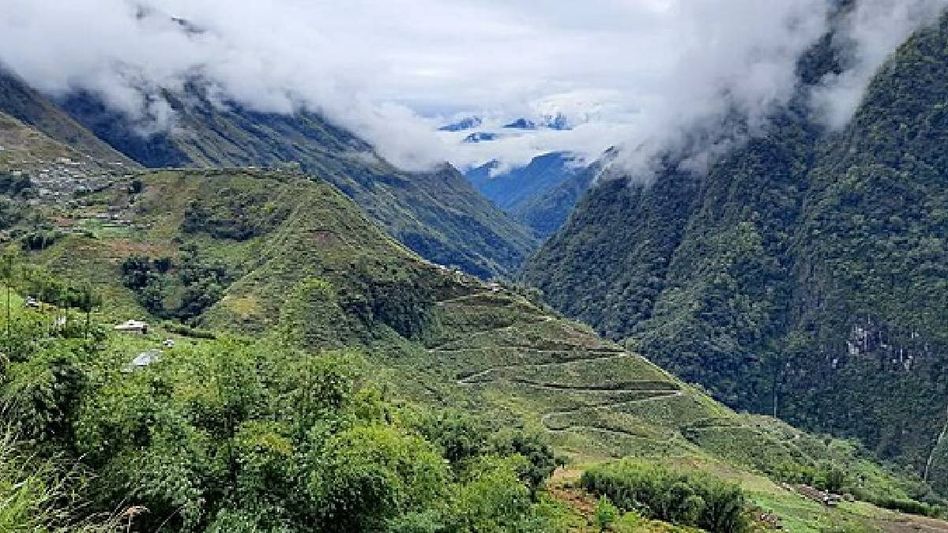 Arunachal among top three states with largest forest and tree cover: Report Arunachal among top three states with largest forest and tree cover: Report