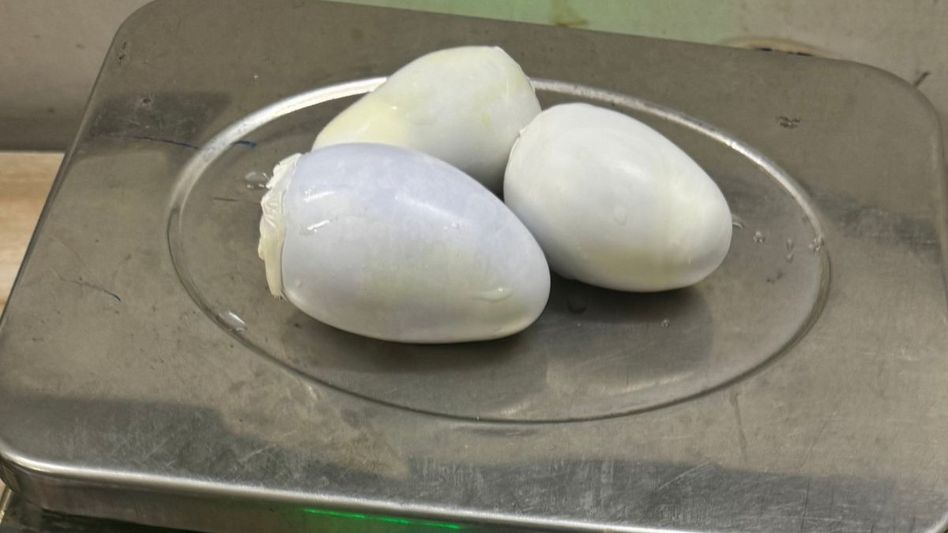 Manipur duo caught with Rs 1.34 crore worth gold at Delhi airport Manipur duo caught with Rs 1.34 crore worth gold at Delhi airport