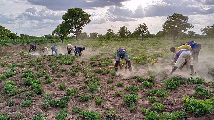 Arunachal minister demands allocation of central funds based on land resources, farmers' condition (Representative image)