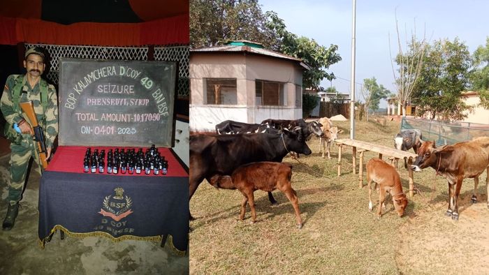 Tripura BSF foils smuggling bids along Indo-Bangla border, seizes goods worth lakhs