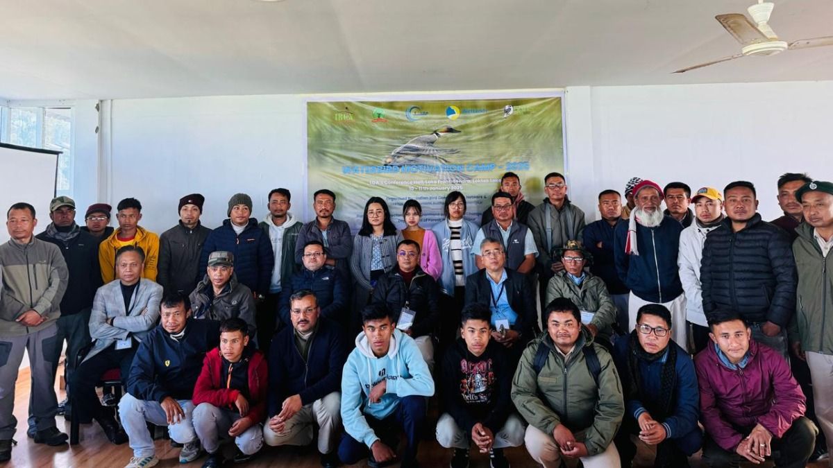 Manipur: Waterbird census reveals dramatic decline in Loktak Lake species