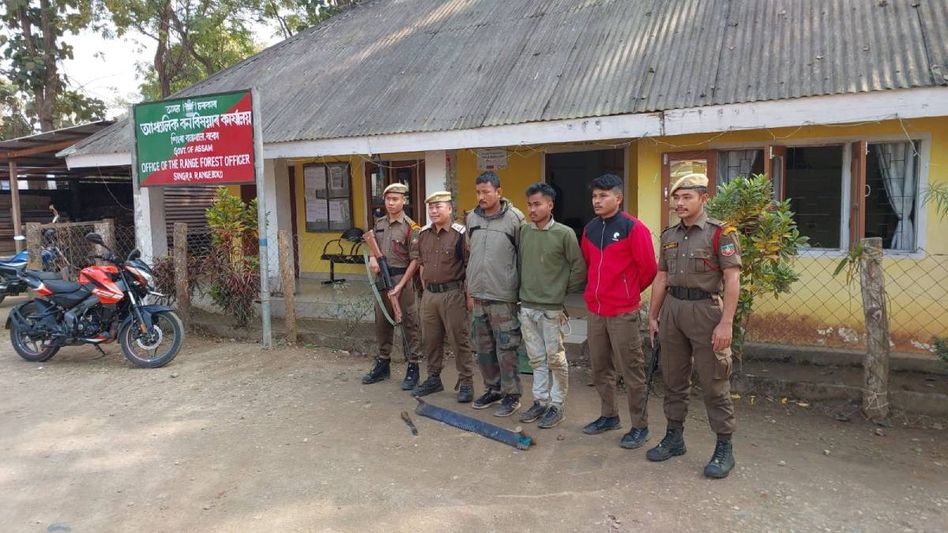 Assam: Forest department arrests two smugglers for illegal logging in Kamrup West Assam: Forest department arrests two smugglers for illegal logging in Kamrup West