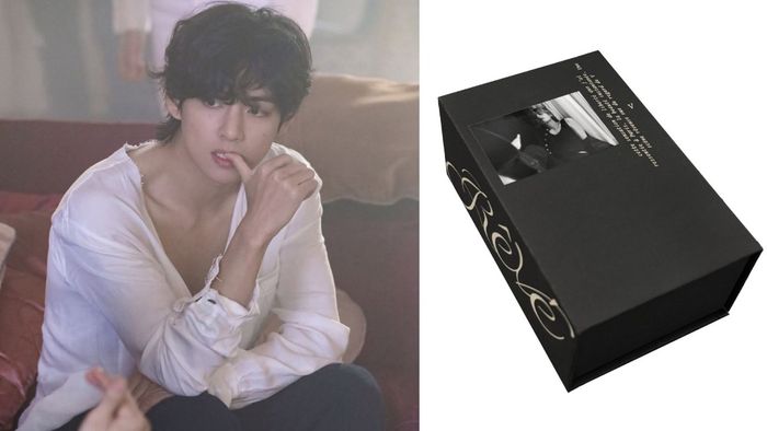BTS's V announces stunning Paris photobook 'Rêvé' amid military service