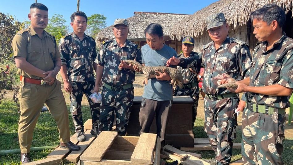 Arunachal: Rescued Asiatic pangolin with its Pangopup released in D. Ering WLS Arunachal: Rescued Asiatic pangolin with its Pangopup released in D. Ering WLS