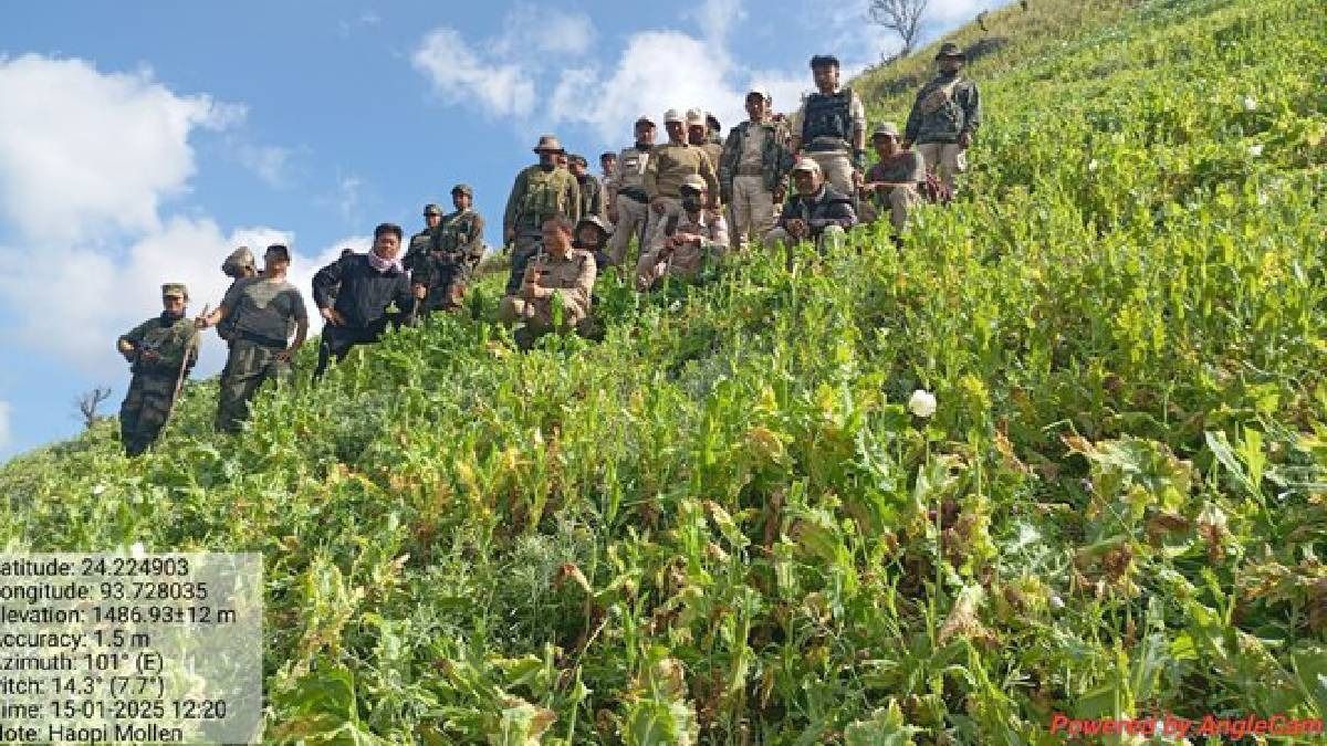 Manipur security forces destroy 4.8 acres of poppy plantation in Churachandpur district
