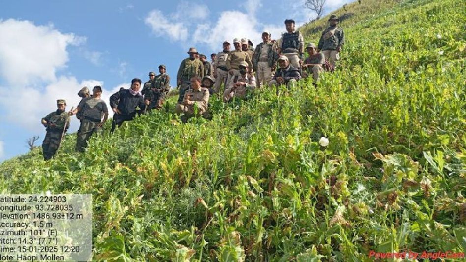 Manipur security forces destroy 4.8 acres of poppy plantation in Churachandpur district Manipur security forces destroy 4.8 acres of poppy plantation in Churachandpur district