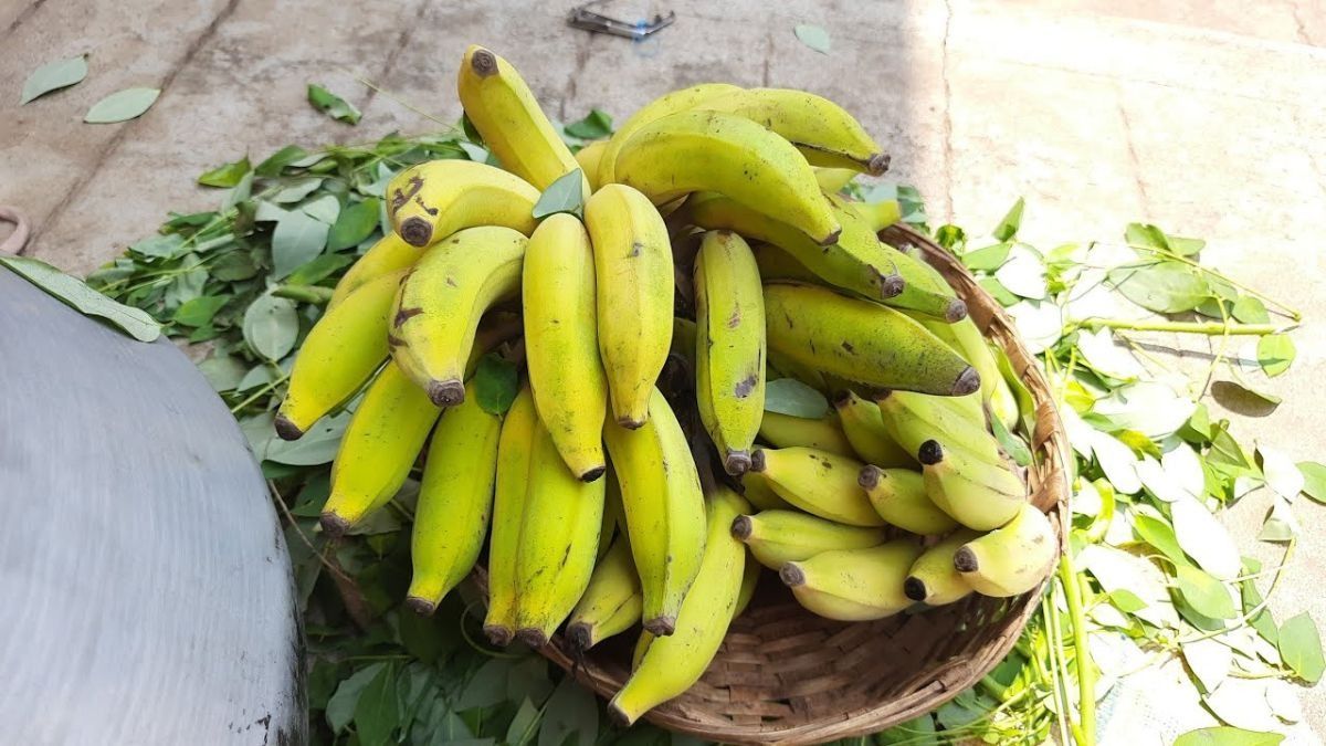 Manipur police nab chemical banana ripeners after viral video