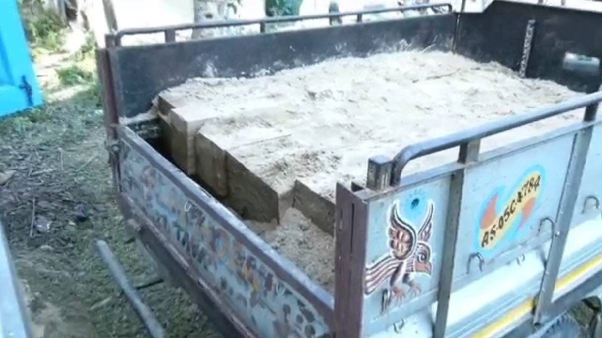 Pushpa re-run: Trucks seized in Assam's Dolamara with illegal timber concealed under sand and hay