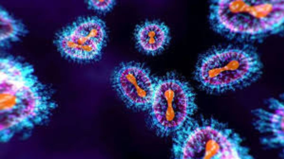 Assam woman detected with HMPV infection, second such case in state this season