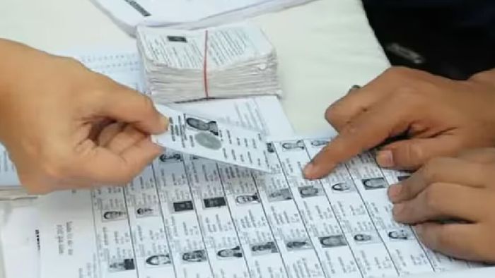 voter