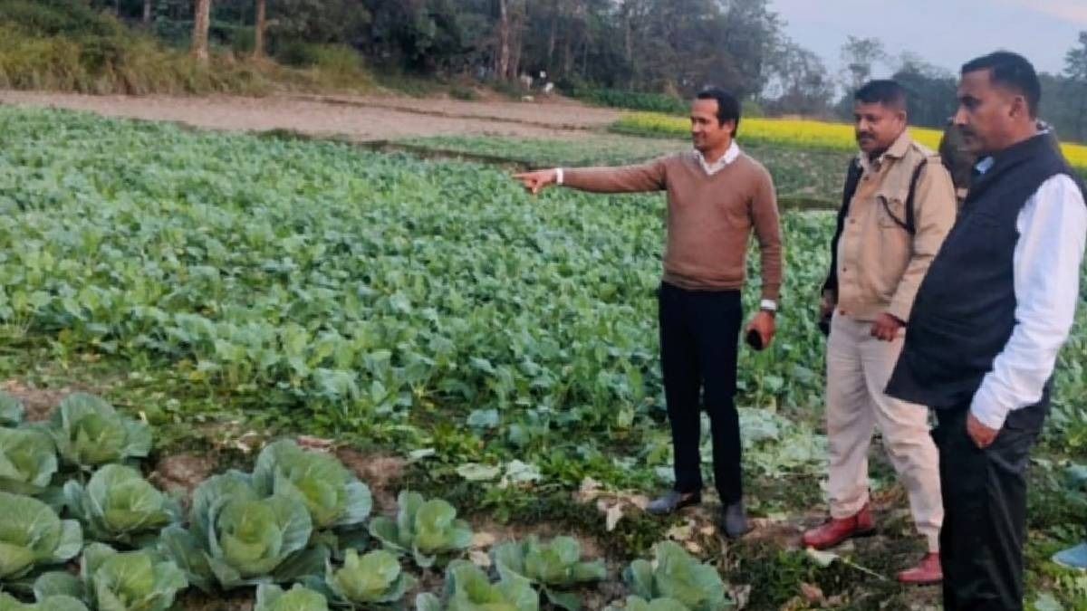 Assam: Barpeta's district jail becomes agriculture hub with transformative mixed-cropping drive