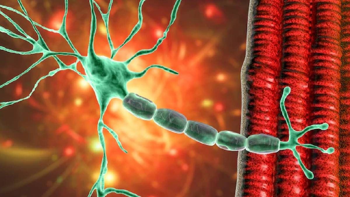 Maharashtra reports first death from Guillain-Barre Syndrome as GBS cases surge in Pune 