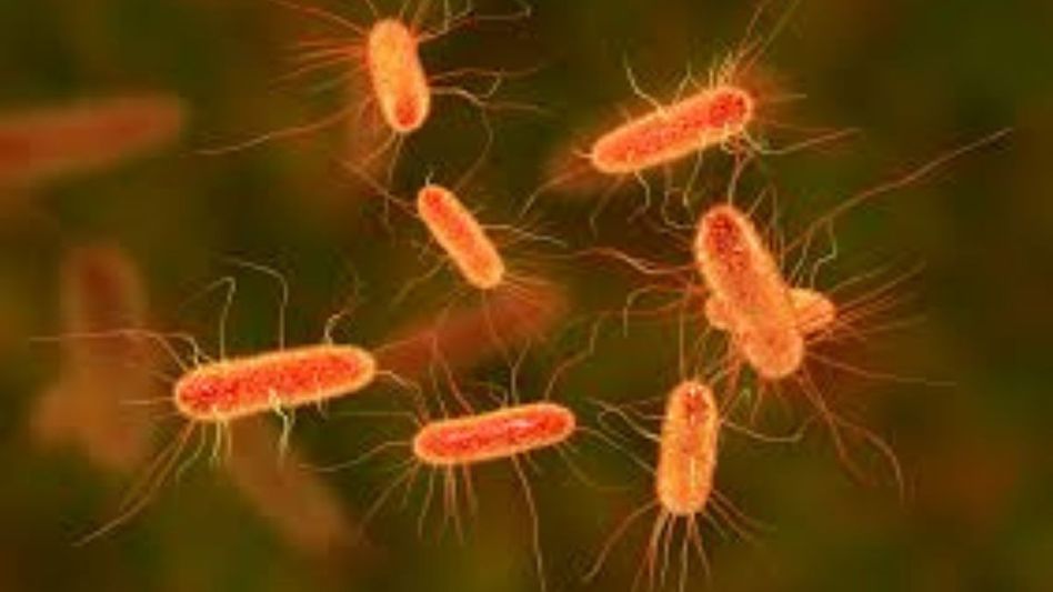 Manipur: Suspected food poisoning claims lives of 3 Assam Rifles personnel Manipur: Suspected food poisoning claims lives of 3 Assam Rifles personnel