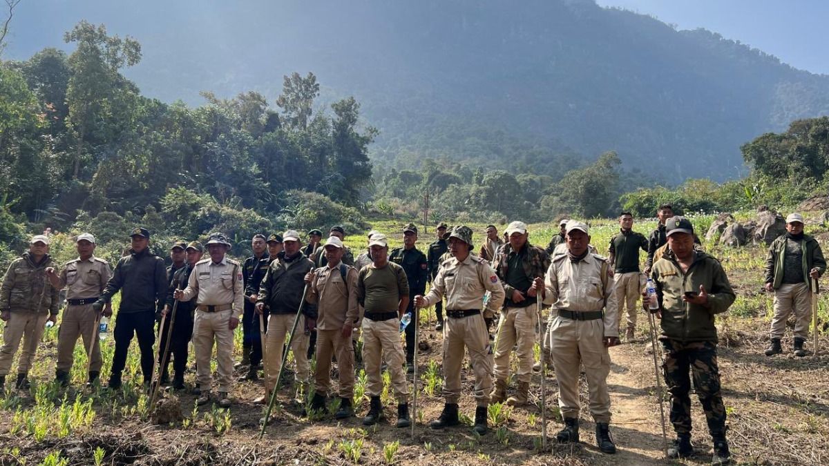 Manipur police destroy major poppy cultivation in anti-drug operation