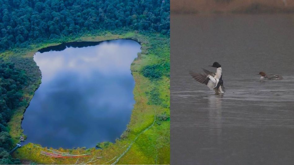 Sikkim's Khecheopalri Lake declared 'Ramsar wetland of international importance' Sikkim's Khecheopalri Lake declared 'Ramsar wetland of international importance'