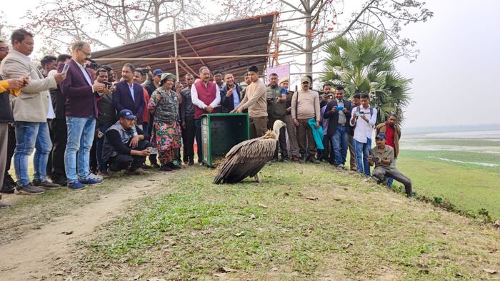 Kaziranga Tiger Reserve Records Highest Migratory Bird Count Ever