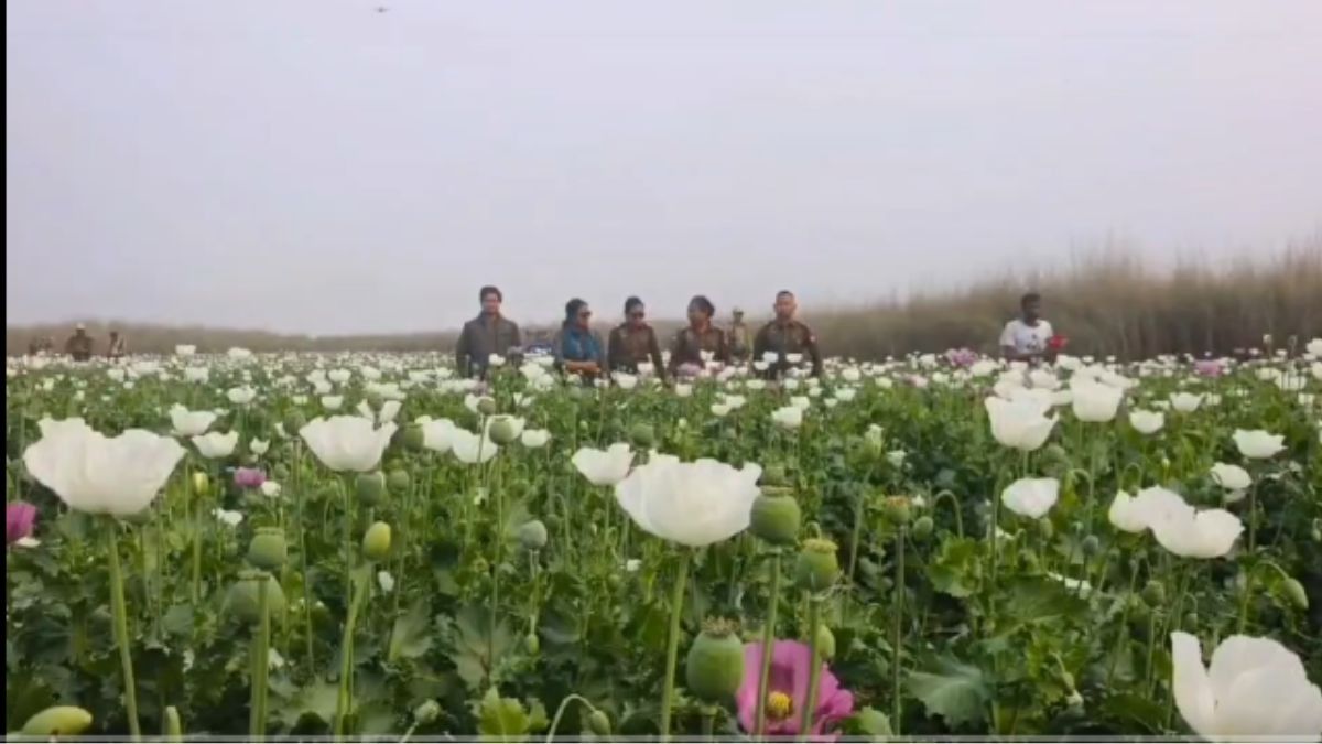 Manipur CM praises Himanta Biswa Sarma for tough stance on illegal poppy, drugs