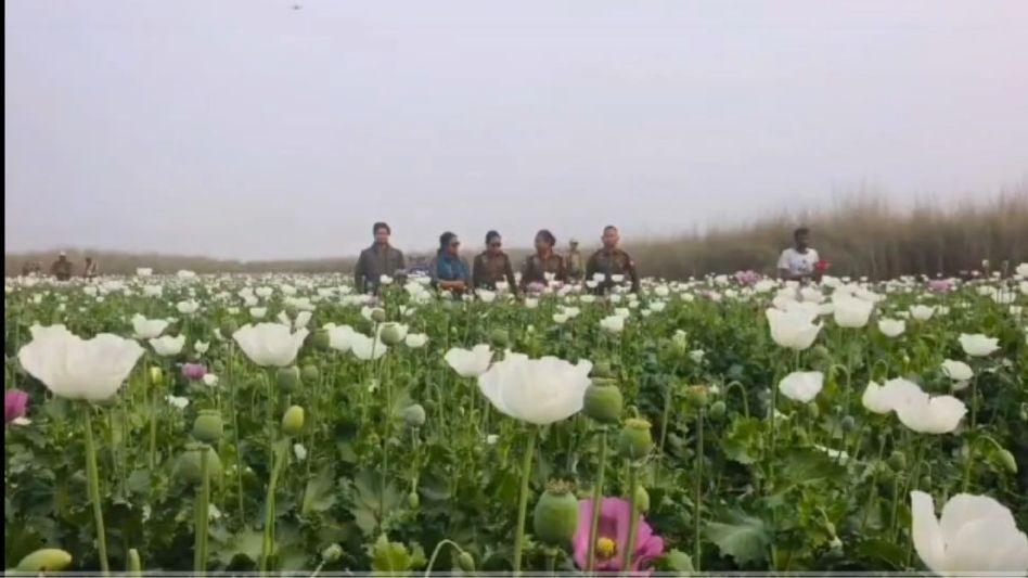 Manipur CM praises Himanta Biswa Sarma for tough stance on illegal poppy, drugs Manipur CM praises Himanta Biswa Sarma for tough stance on illegal poppy, drugs