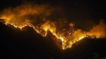 Nagaland: Forest fire near Kohima college poses threat to Mt. Shüho's rare flora