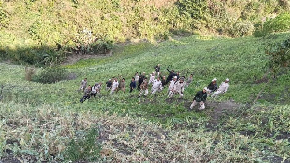 Manipur security forces destroy 5 acres of illicit poppy cultivation in Churachandpur Manipur security forces destroy 5 acres of illicit poppy cultivation in Churachandpur