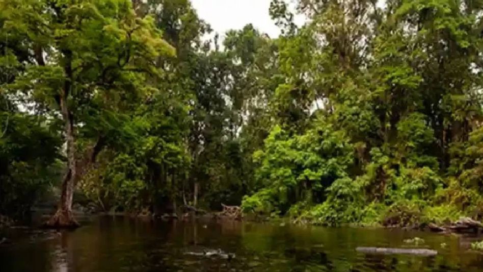 Assam Cabinet declares Sikhna Jwhwlao as state’s eighth national park Assam Cabinet declares Sikhna Jwhwlao as state’s eighth national park