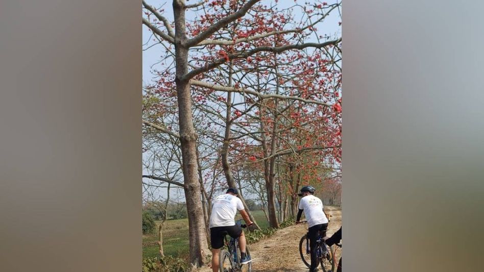 Assam: Second edition of Simolu festival celebrating Bombax Ceiba flowers begins in Nagaon Assam: Second edition of Simolu festival celebrating Bombax Ceiba flowers begins in Nagaon