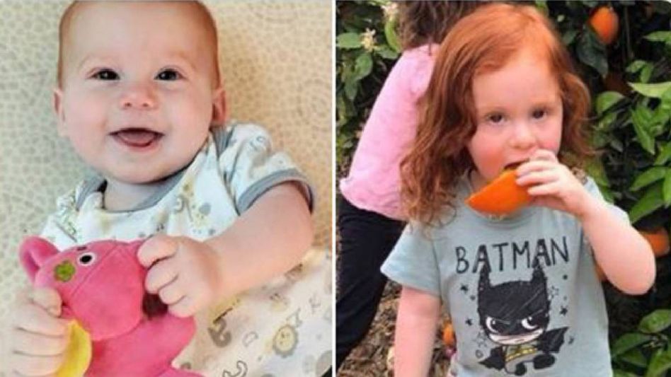 "Forensic reports reveal Hamas killed Bibas brothers with bare hands", says IDF "Forensic reports reveal Hamas killed Bibas brothers with bare hands", says IDF