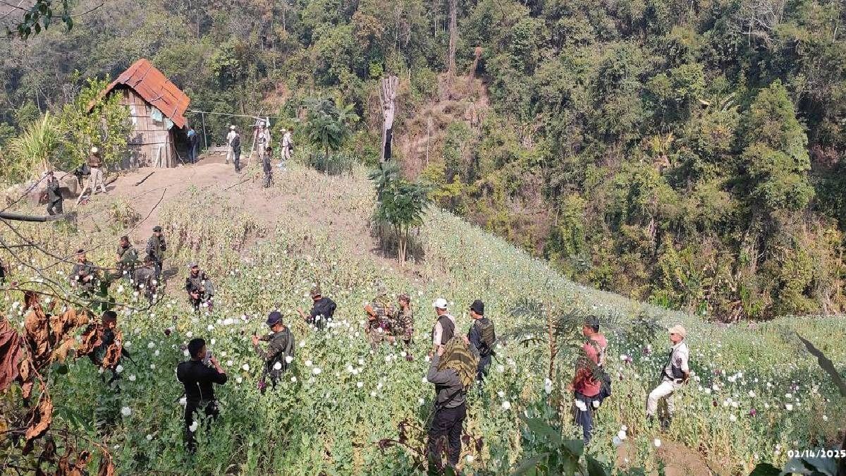 Manipur security forces destroy 10 acres of illegal poppy cultivation in Tamenglong district
