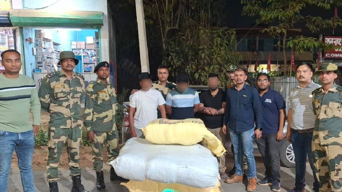 Tripura BSF arrest three with 100 kg cannabis at Lilagarh Tea Garden