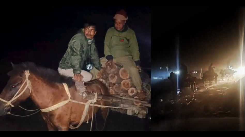Assam: Forest department cracks down on illegal timber smuggling in Kokrajhar Assam: Forest department cracks down on illegal timber smuggling in Kokrajhar