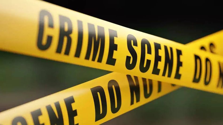 Assam: Man accused of killing younger brother over pet duck in Barpeta Assam: Man accused of killing younger brother over pet duck in Barpeta