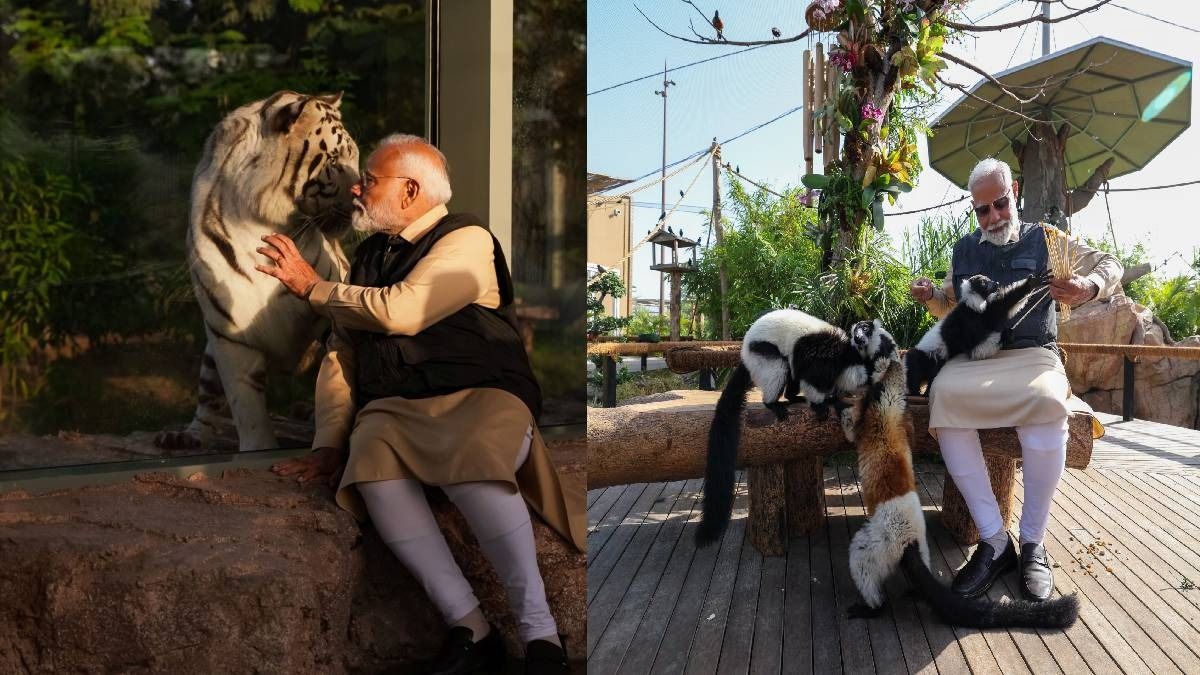 India’s wildlife conservation gets a boost as PM Modi inaugurates Gujarat's Vantara