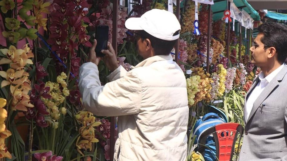 Sikkim hosts Indian Orchid Festival 2025, highlights floriculture potential Sikkim hosts Indian Orchid Festival 2025, highlights floriculture potential