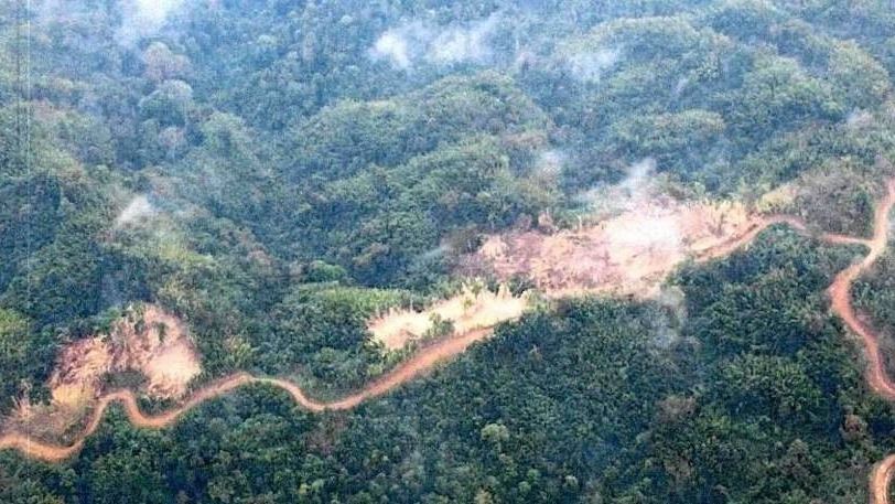 Assam loses 83,000 hectares to encroachment by four states including Meghalaya