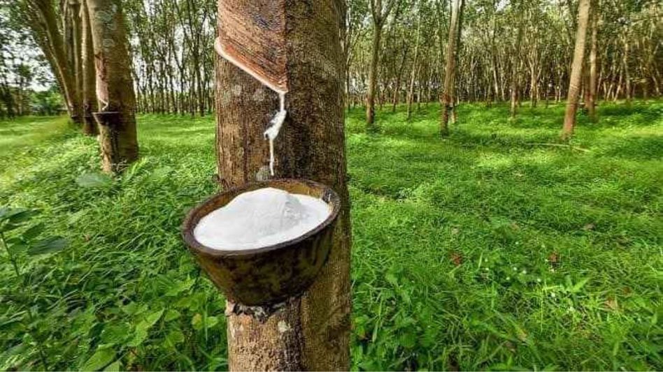 Tripura to host first-ever CII rubber component expo 2025 in March Tripura to host first-ever CII rubber component expo 2025 in March